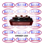 CM100DY-24H MITSUBISHI