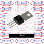 SCR 2P6M