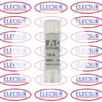 C10G10 10X38 BUSSMANN