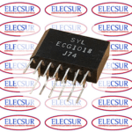 ECG1018